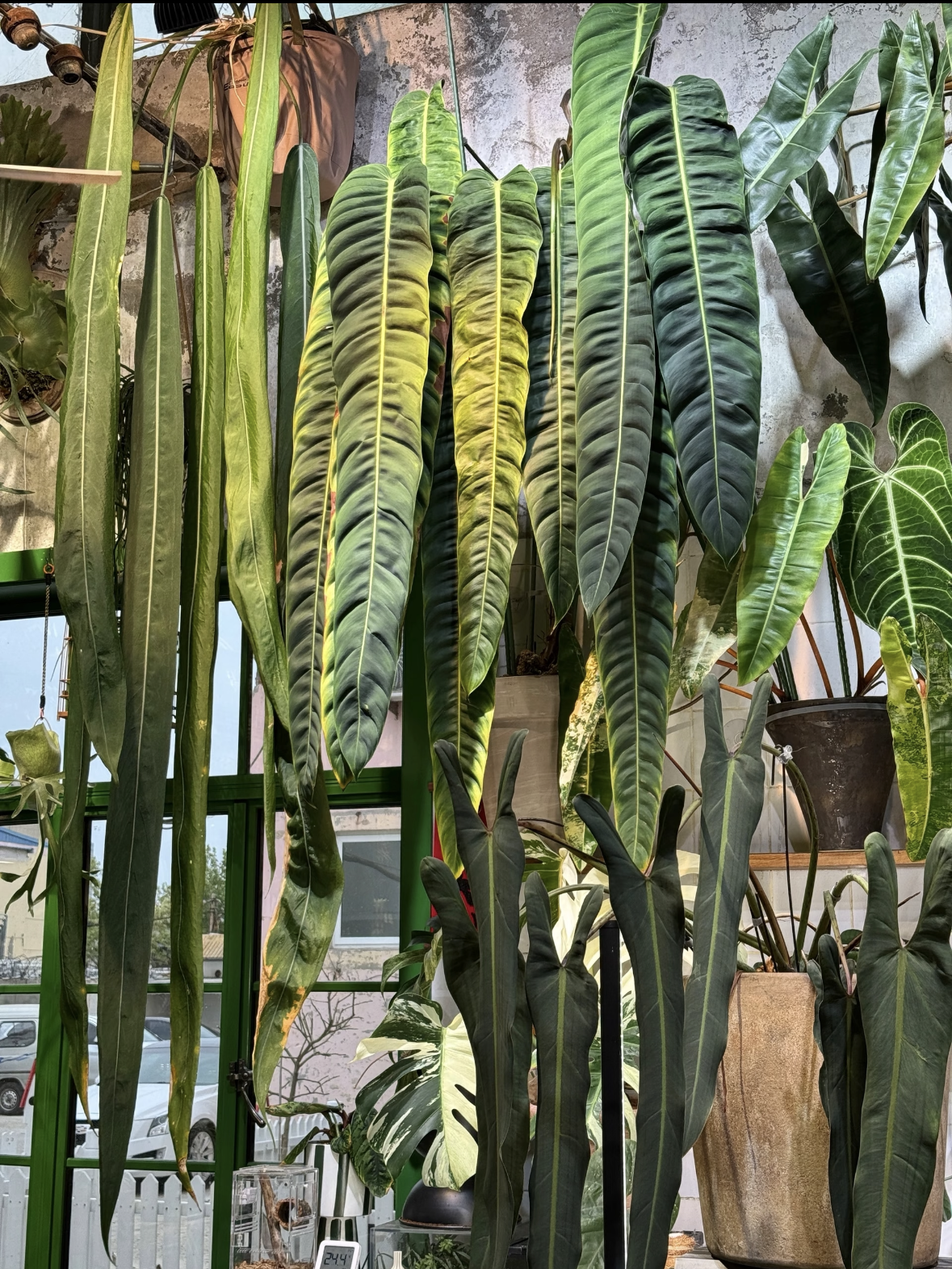 Customer Spotlight – Show Us Your Style!